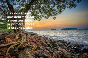 doscosas copy